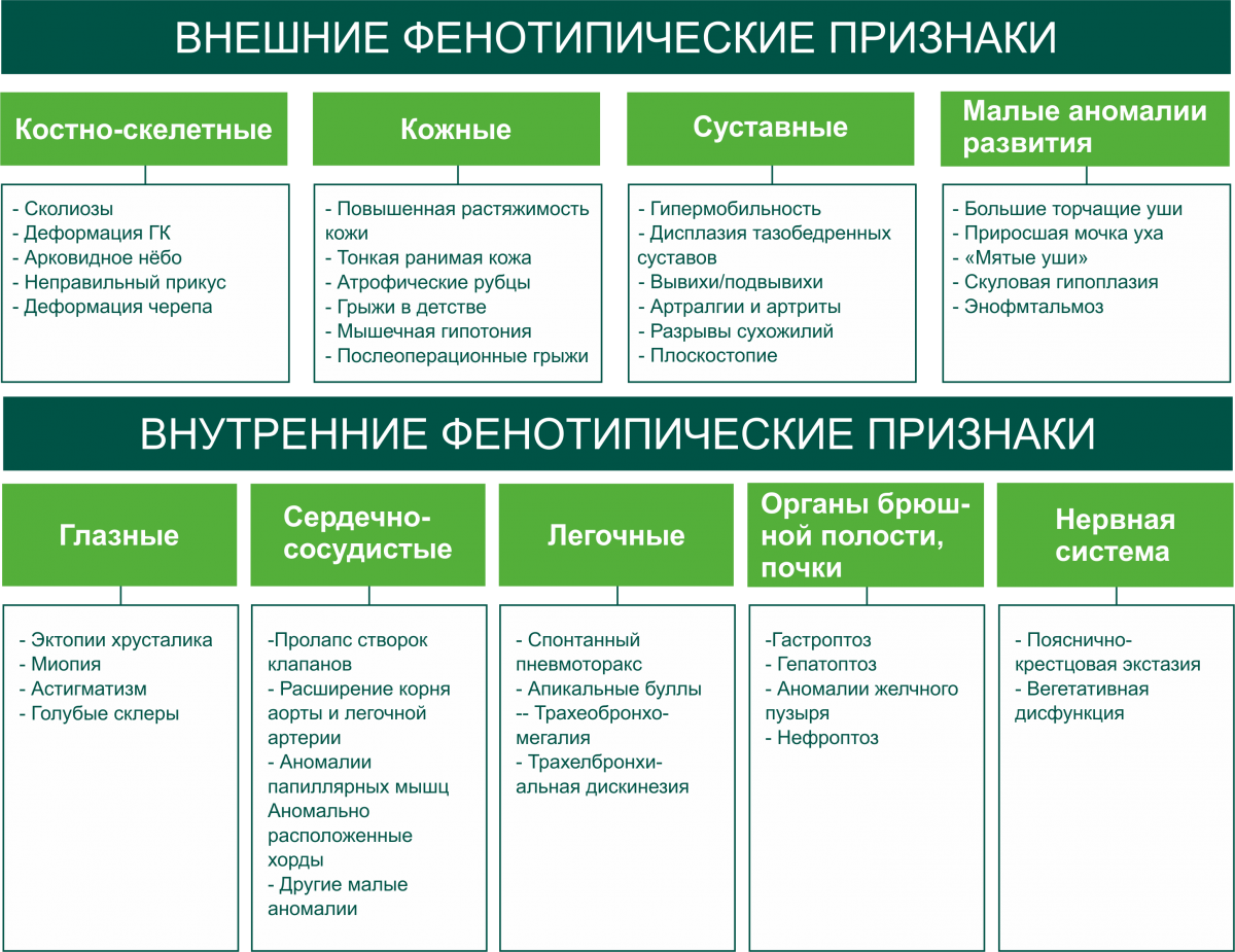 недифференцированные дисплазии